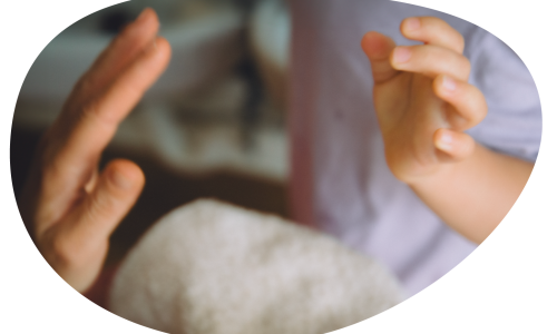 EL PROCESO DE VINCULACIÓN