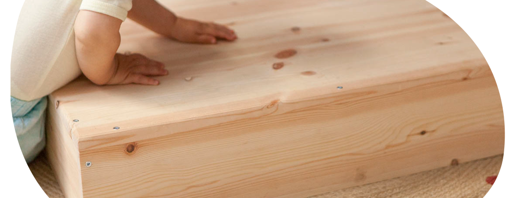 EL DESARROLLO MOTRIZ EL DESARROLLO MOTRIZ